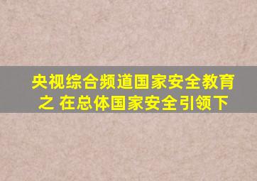 央视综合频道国家安全教育之 在总体国家安全引领下